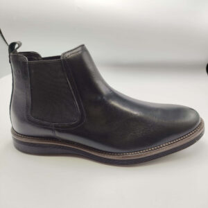 Bota Democrata